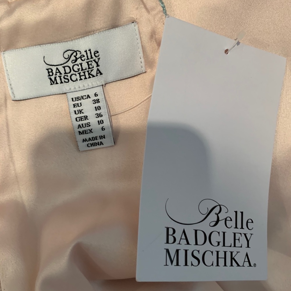 Badgley Mischka Full length pink gown - Picture 5 of 7